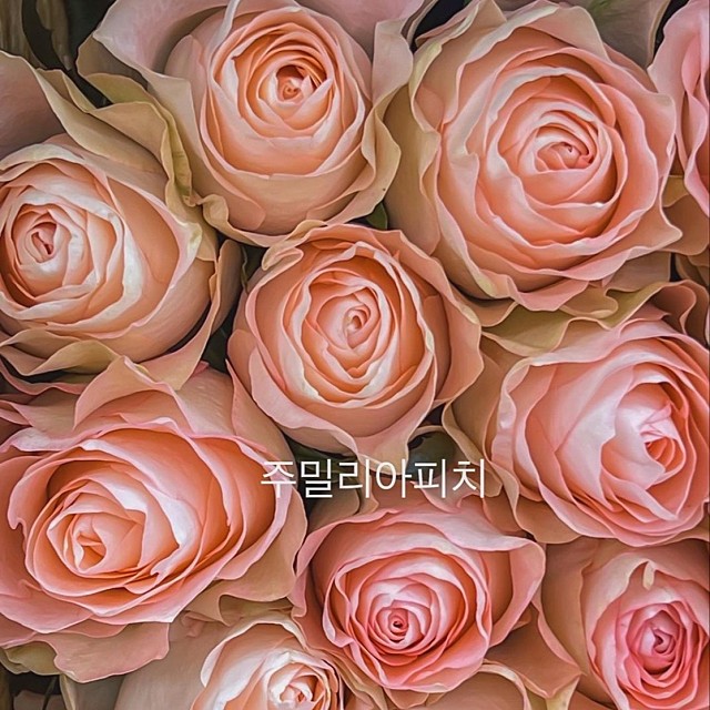 테이블매니저(주) 이미지