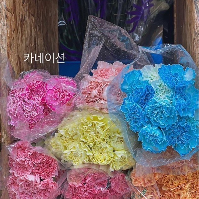 들임 이미지