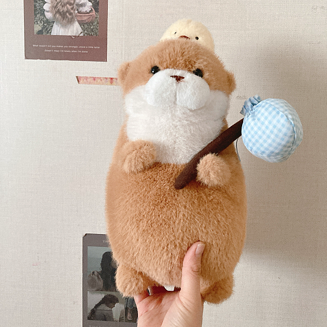 우소 이미지
