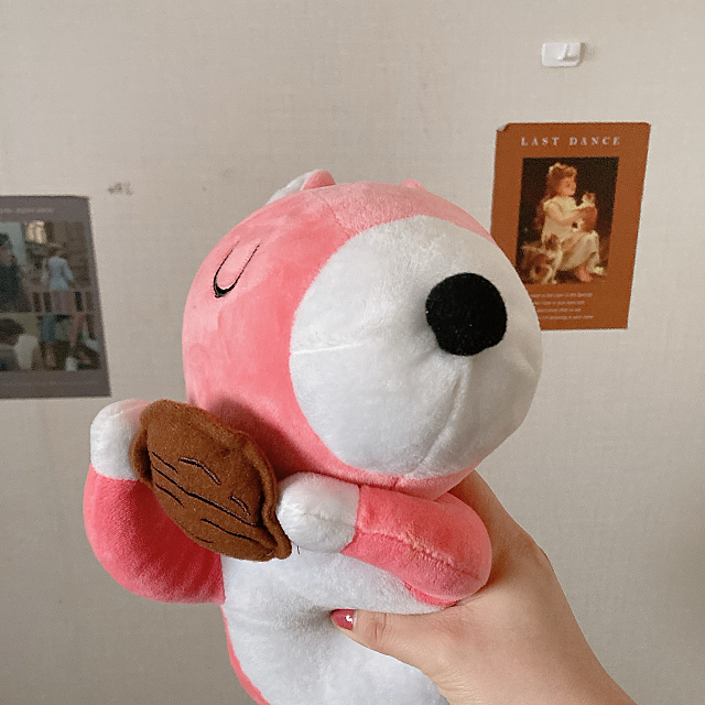 코넨 이미지